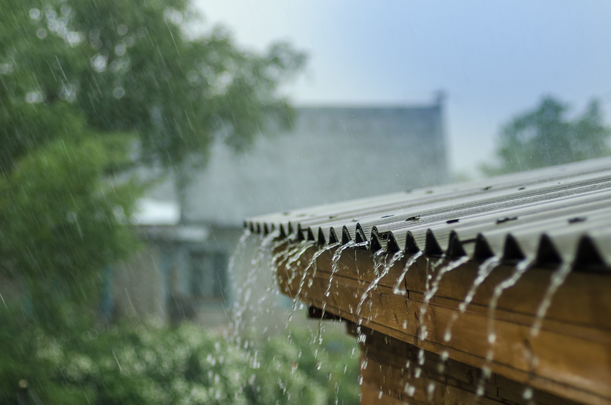 Water Logging in your roof