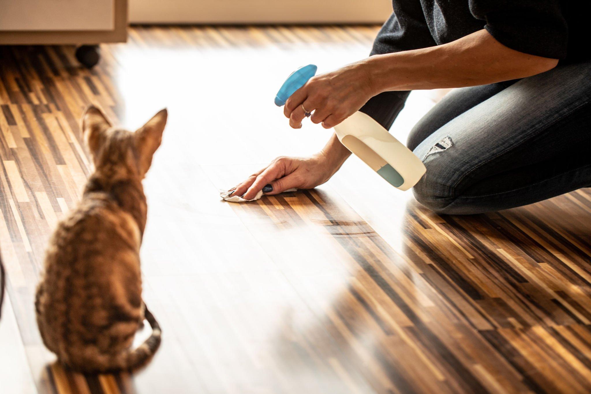 Pet-Friendly Cleaning 